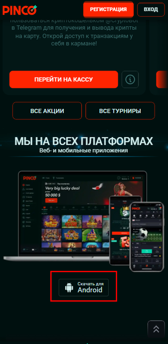 мобильное приложение Pinco